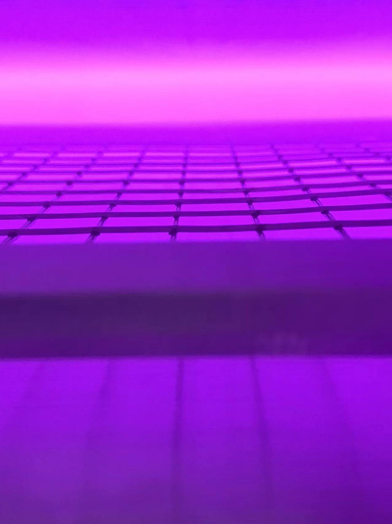 真空91香蕉视频黄版下载机