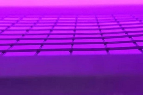 fpc91香蕉视频网站在线下载