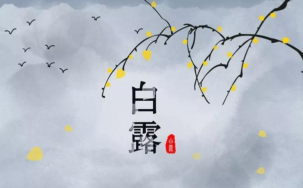 今迎白露，盛夏退场-91香蕉APP污官方网站下载91香蕉视频黄版下载机