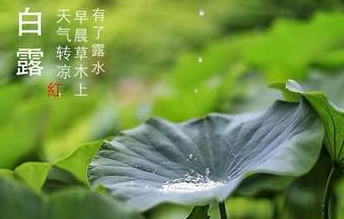 今迎白露，盛夏退场-91香蕉APP污官方网站下载91香蕉视频黄版下载机